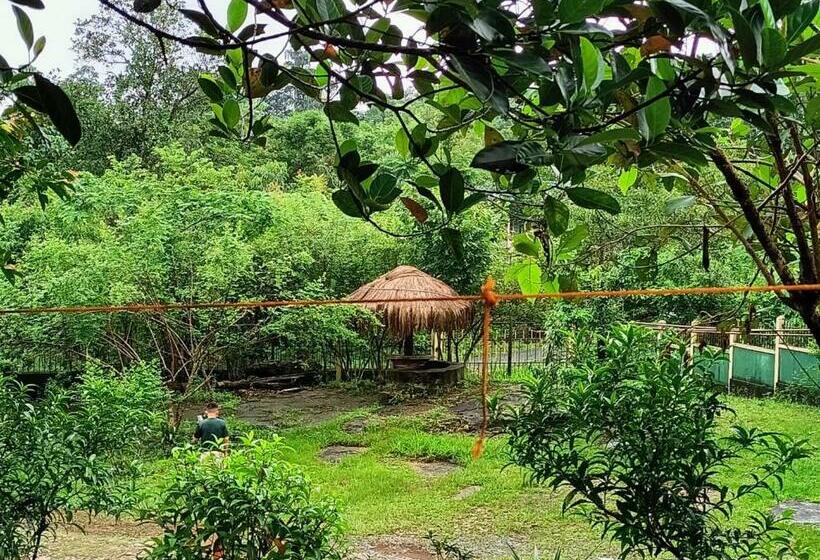 פנסיון Stream Side Guest House