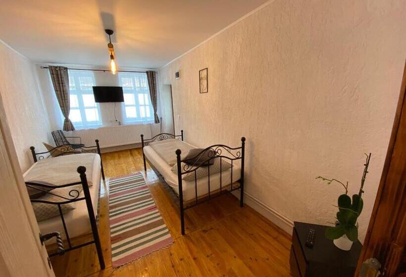 펜션 Taverna Sasului