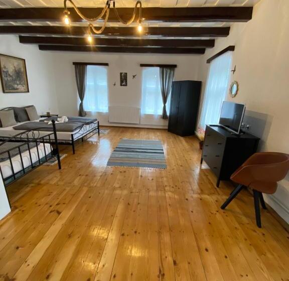 펜션 Taverna Sasului