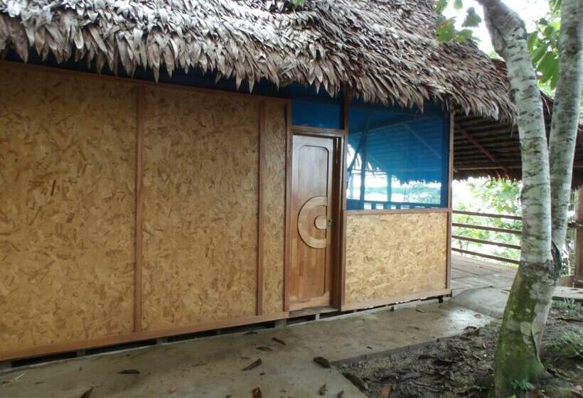 渡假胜地  Emerald Forest Expeditions And Tours