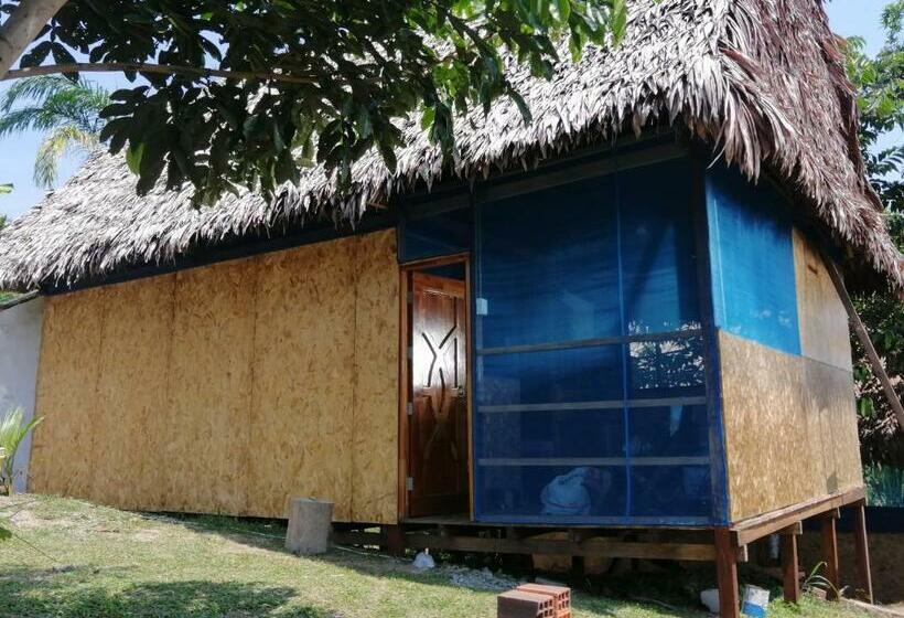 渡假胜地  Emerald Forest Expeditions And Tours