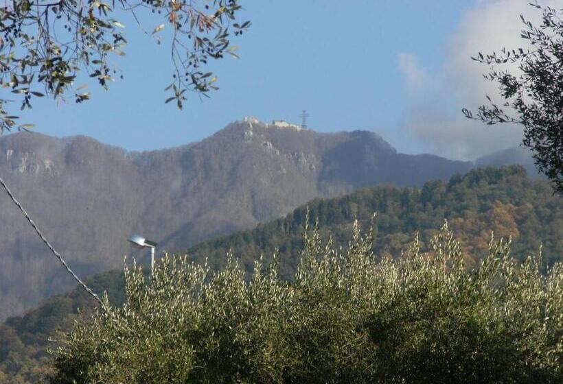 Bed and Breakfast Casa Di Nenna