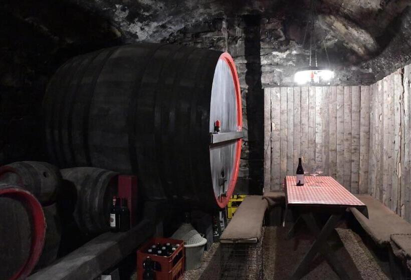 ホテル Valtlhof Apt 1