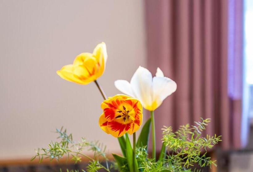 ホテル Valtlhof Apt 1