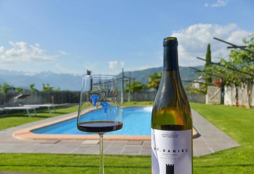 هتل Valtlhof   Apt 2