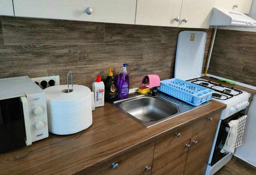 ペンション Ivavev Is Us Bythesea Constanta