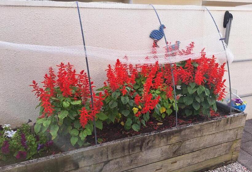 膳宿费 Two Rooms With One Queen Size Bed In Each Room One Bathroom For The Two Rooms