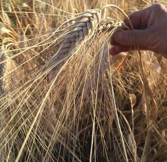 Отель Agriturismo Santa Maria