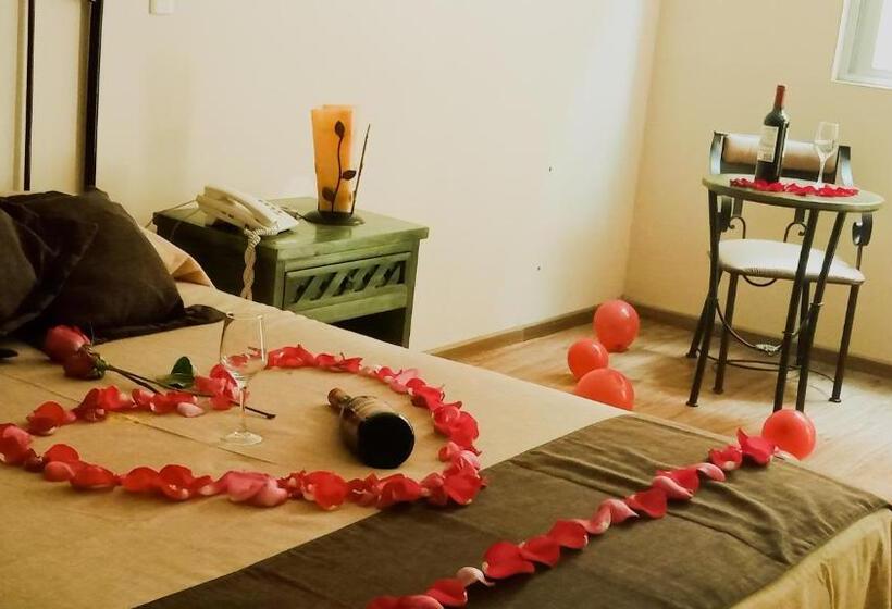 Отель Plaza Pachuca