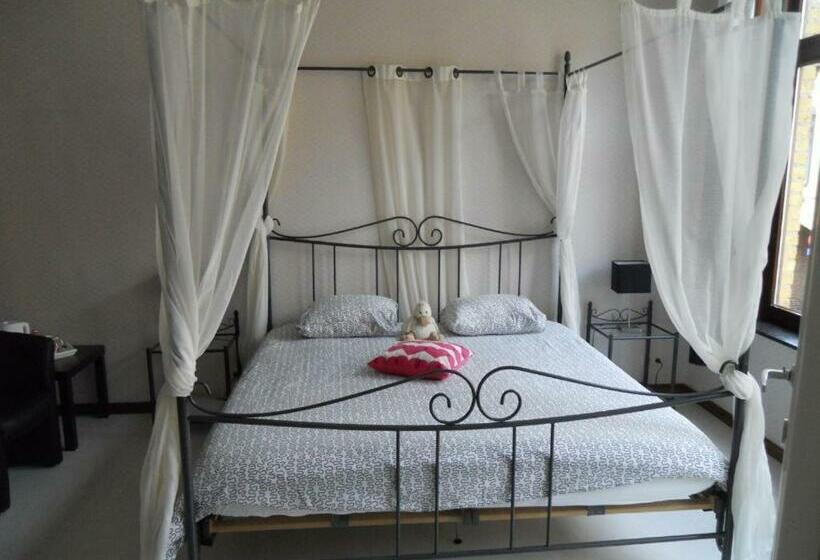 بنسيون The City Jester