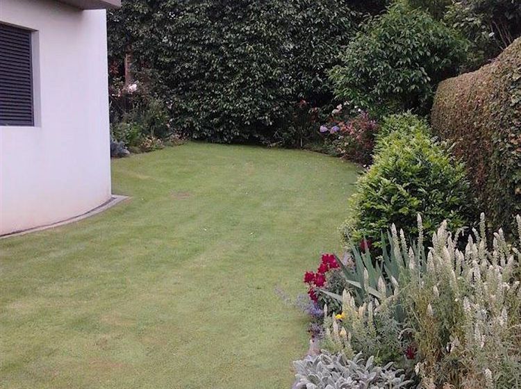 Ascot Parnell Boutique Bed And Breakfast