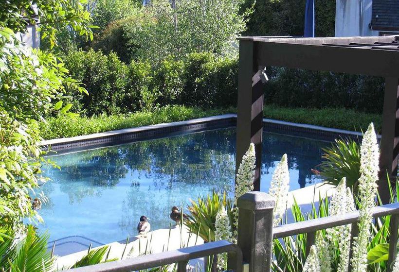 Ascot Parnell Boutique Bed And Breakfast