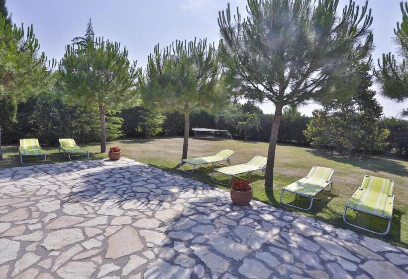 تختخواب و صبحانه Casa Oasa