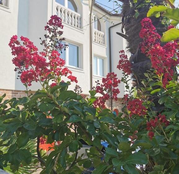 تختخواب و صبحانه Casa Oasa