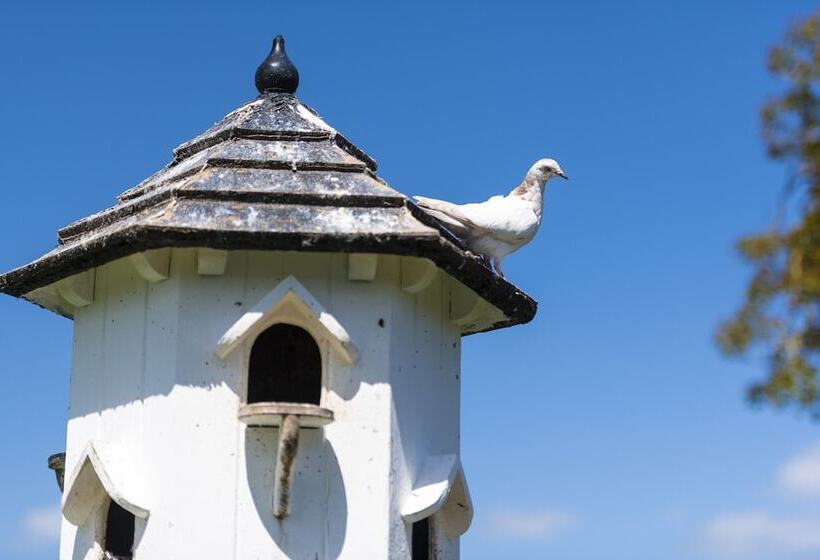 مبيت وإفطار The Red Lion Hinxton