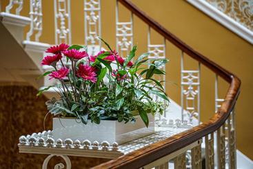 Fotos del hotel Adria House:  2