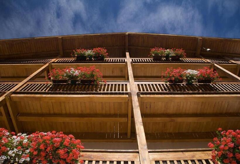 فندق Albergo Bellaria