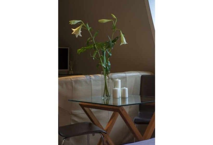 酒店 Amherst Brighton