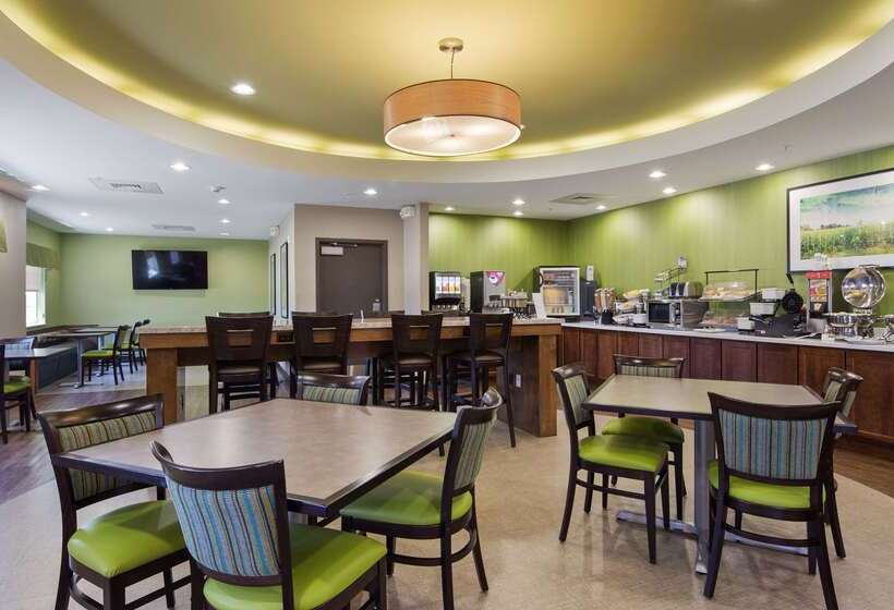 酒店 Best Western Plus Patterson Park Inn