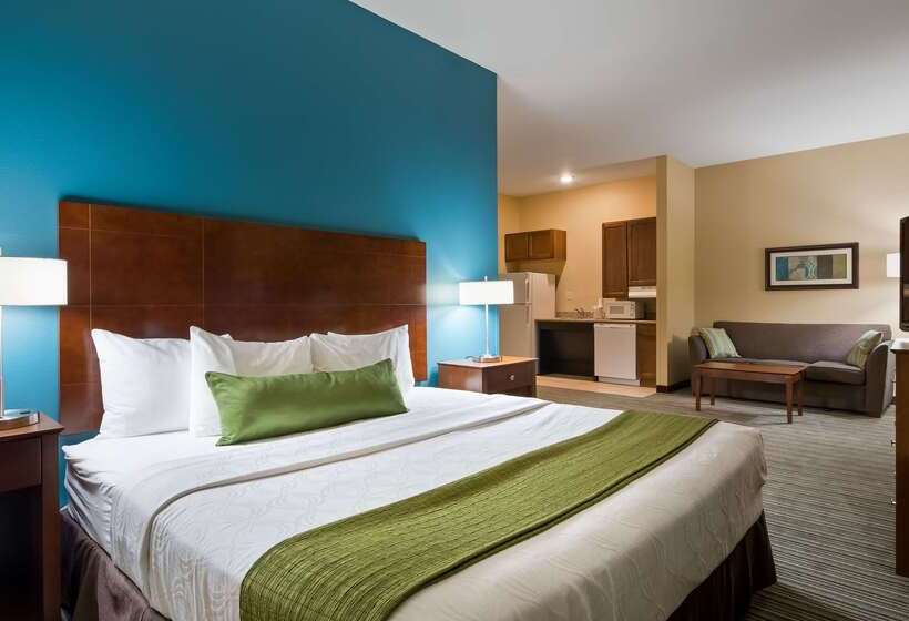 酒店 Best Western Plus Patterson Park Inn