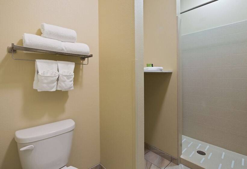 酒店 Best Western Plus Patterson Park Inn