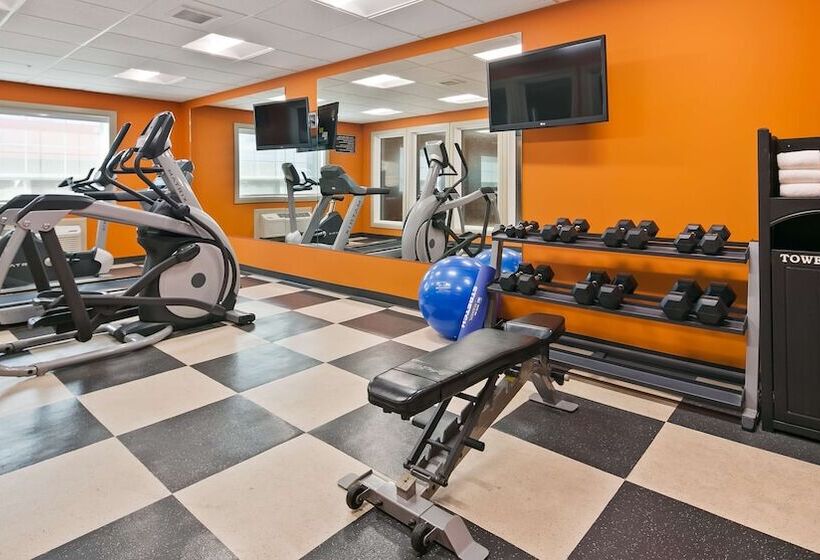 Best Western Plus Peace River Hotel & Suites