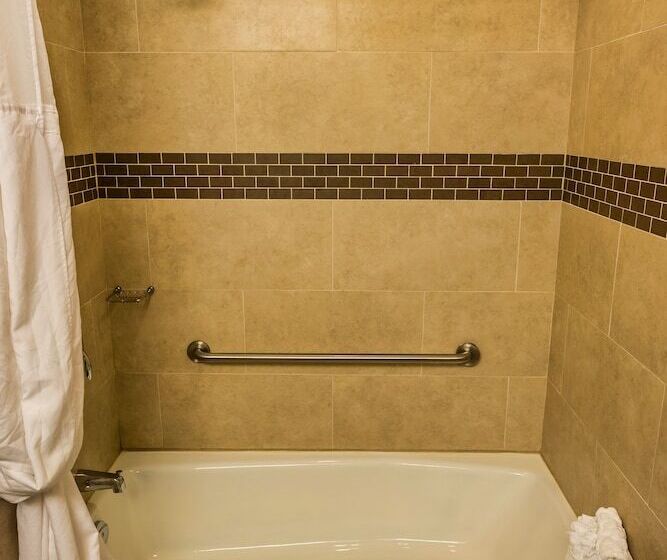 Best Western Plus Peace River Hotel & Suites