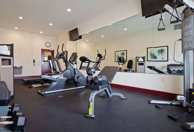 فندق Best Western Plus Pratt