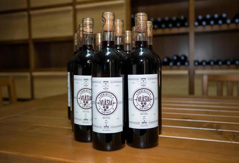 בית מלון כפרי Casa Vlasia