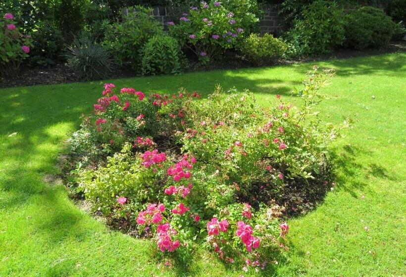 בית מלון כפרי Duthus Lodge Guest House