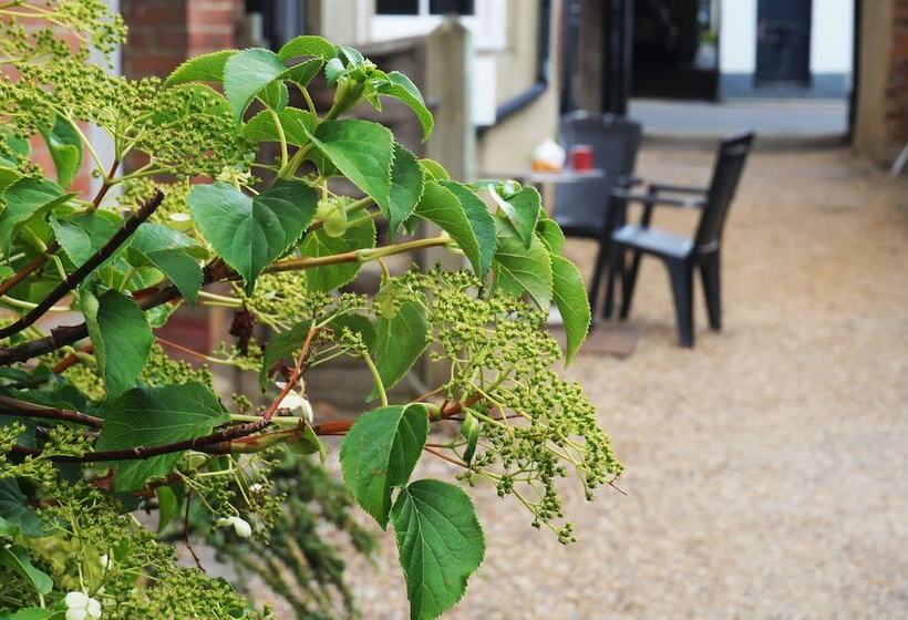 Отель Greyfriars Lodge Canterbury