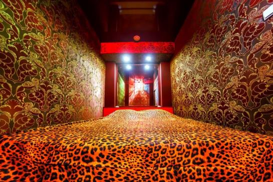 בית מלון כפרי Guru