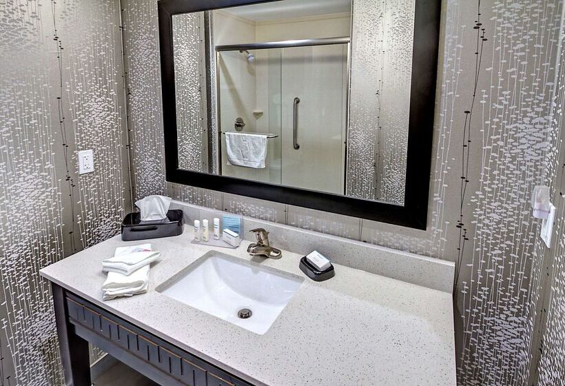 Отель Hampton Inn & Suites Ada