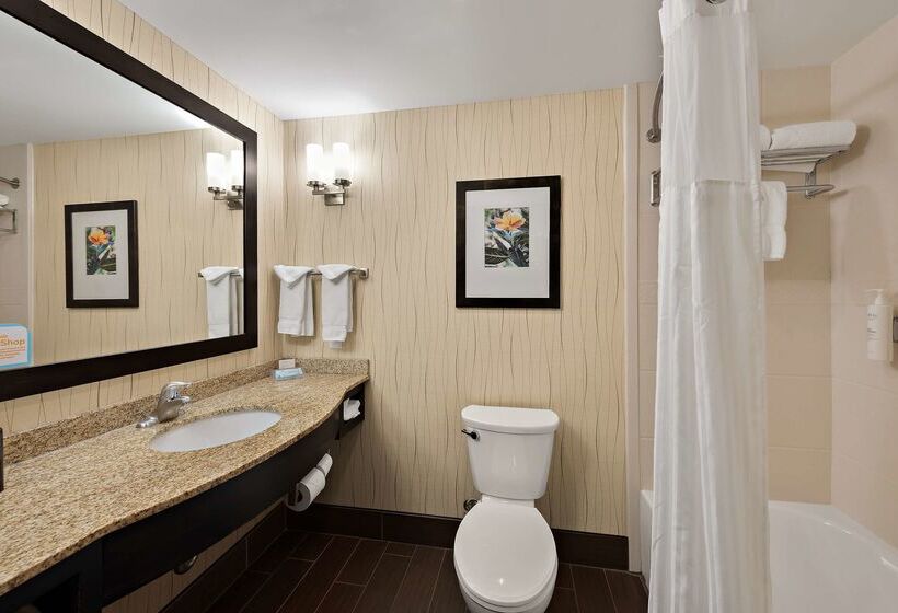 فندق Hilton Garden Inn Findlay