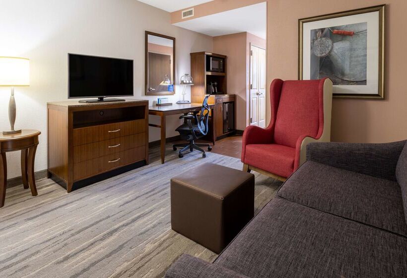 فندق Hilton Garden Inn Roanoke