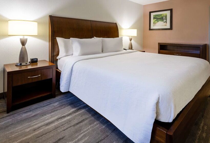 فندق Hilton Garden Inn Roanoke