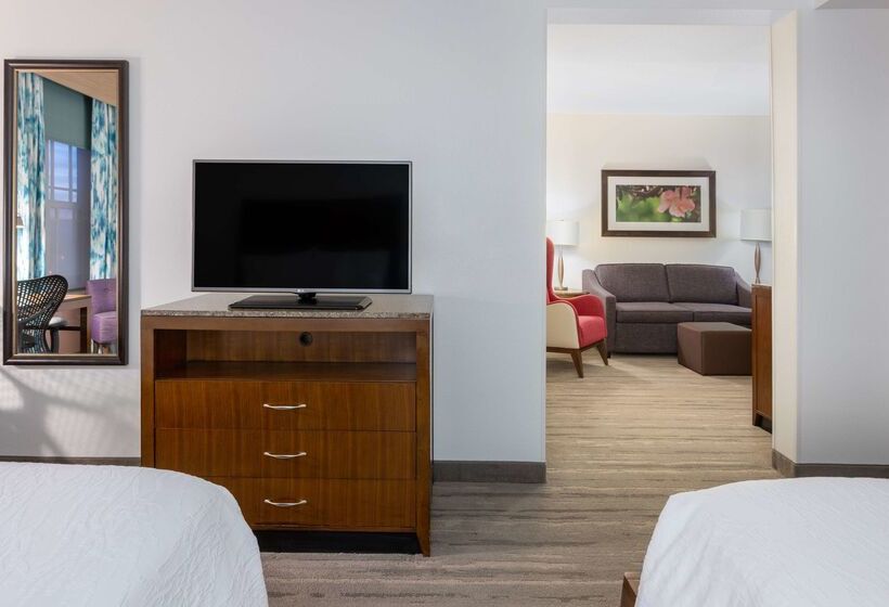 فندق Hilton Garden Inn Roanoke