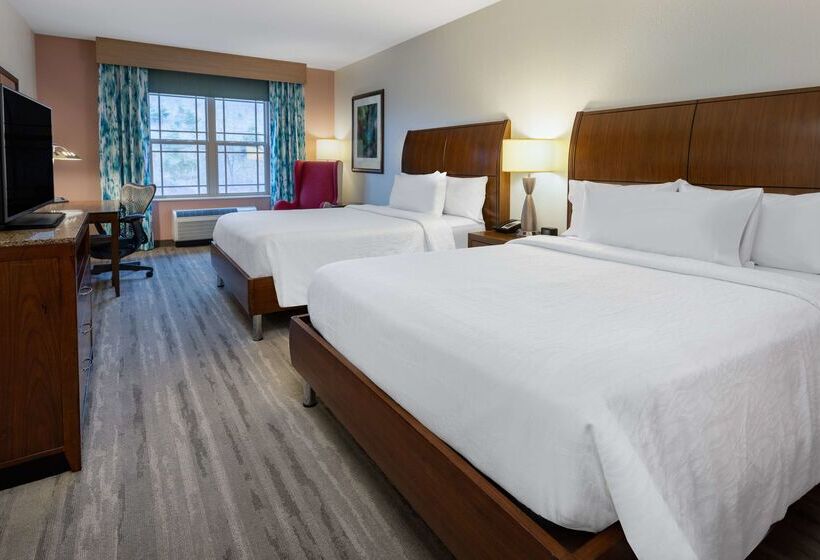 فندق Hilton Garden Inn Roanoke