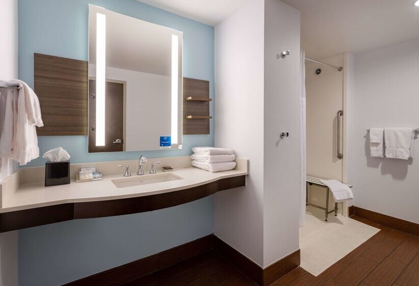 فندق Hilton Garden Inn Roanoke