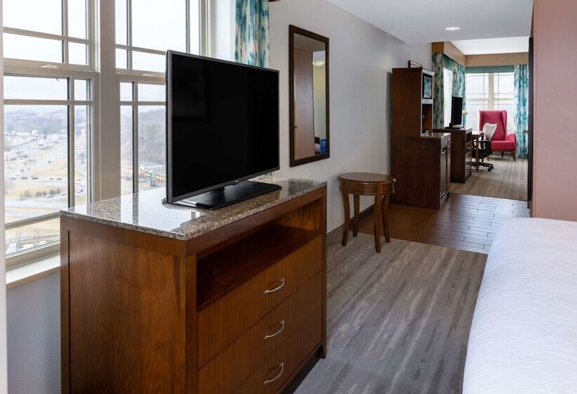 فندق Hilton Garden Inn Roanoke