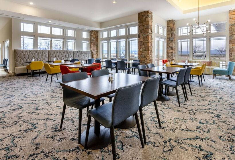 فندق Hilton Garden Inn Roanoke