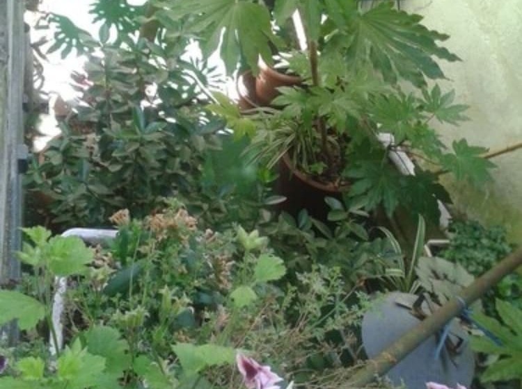 酒店 La Marine, Vieux Port