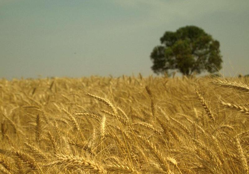 Отель Hyatt Regency Ludhiana