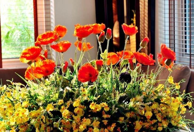 هتل New Star Halong