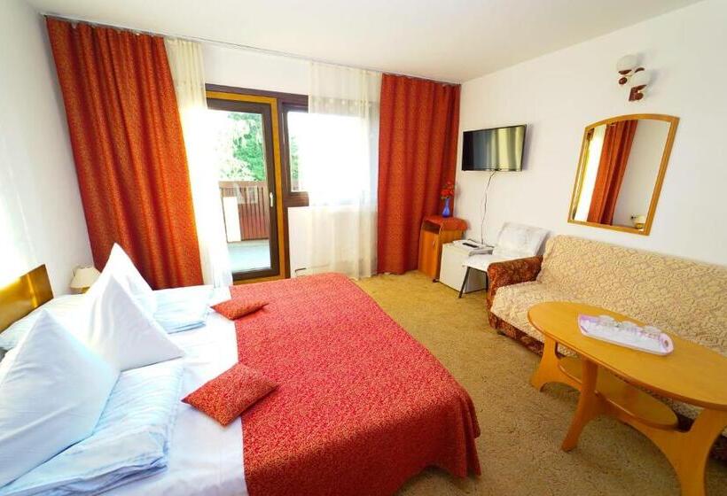 בית מלון כפרי Pensiunea Margaritar