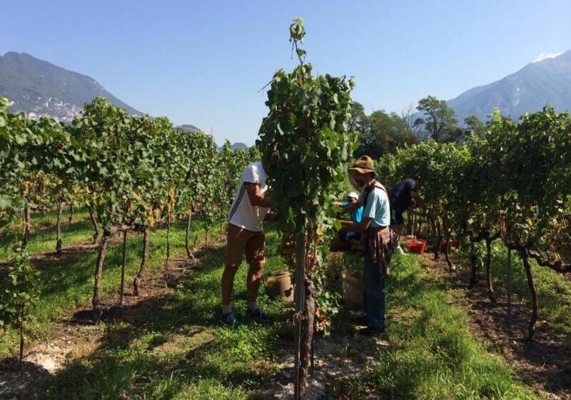 酒店 Residence La Vigna