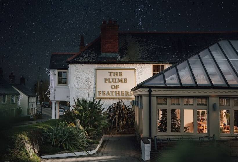 Сельский отель The Plume Of Feathers