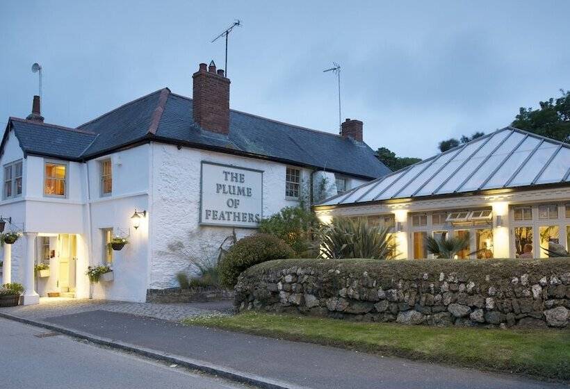 Сельский отель The Plume Of Feathers