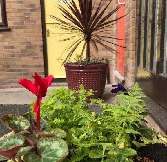 ホテル Smithaleigh Farm Rooms And Apartments