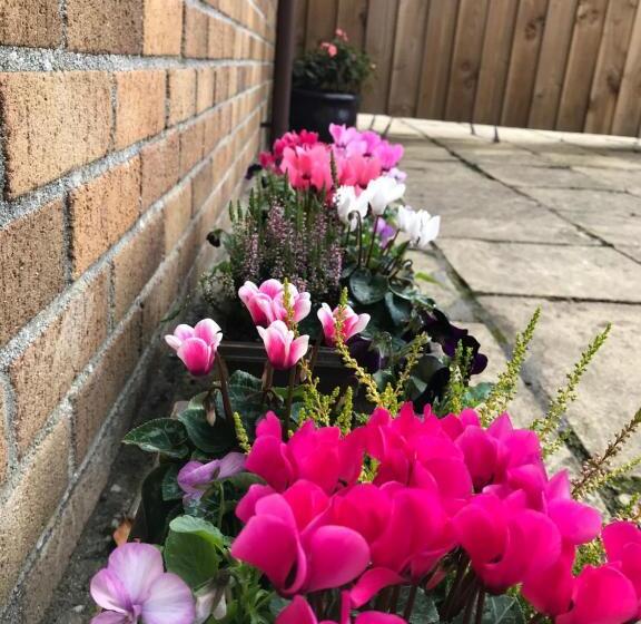 ホテル Smithaleigh Farm Rooms And Apartments